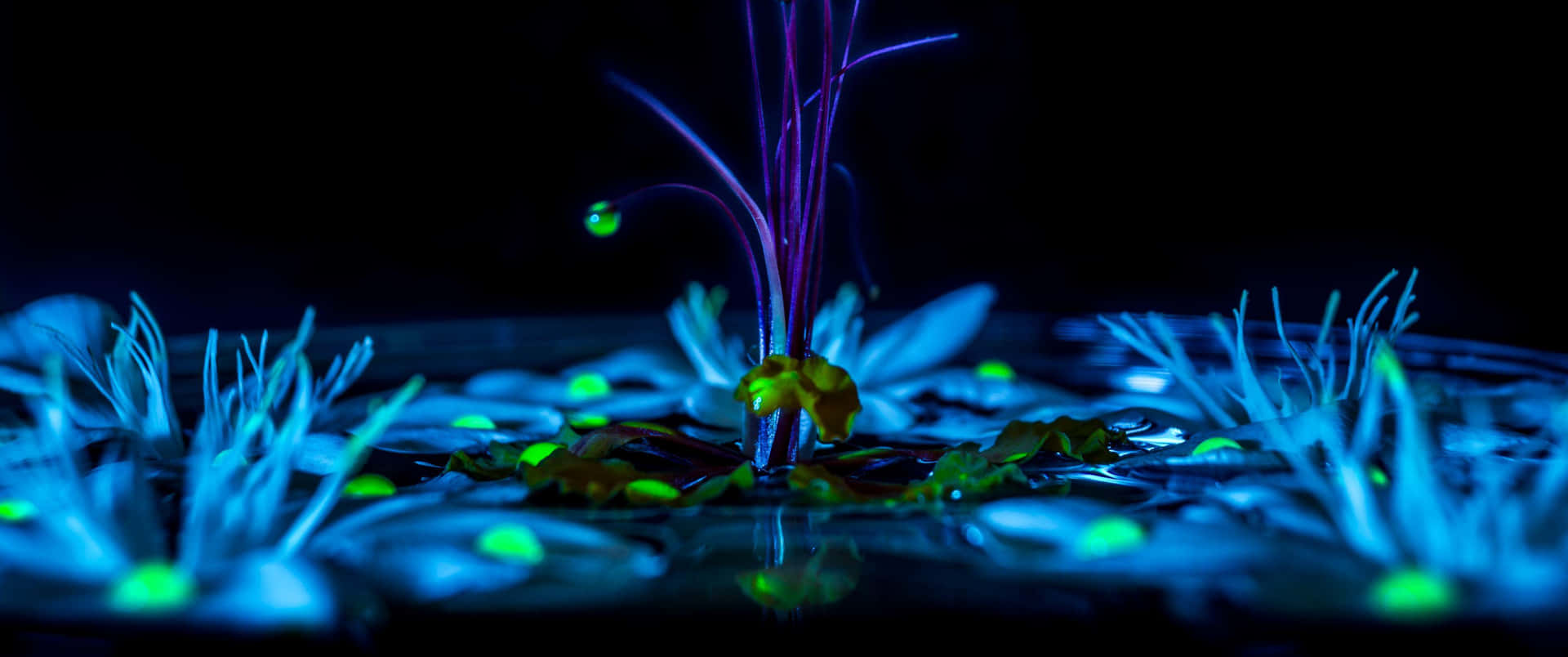 Colors In Motion Bursting Across A 3440x1440 Uhd Landscape Background