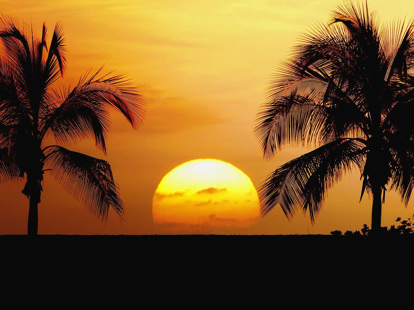 “colors Of Paradise, Hawaii Sunset.” Background