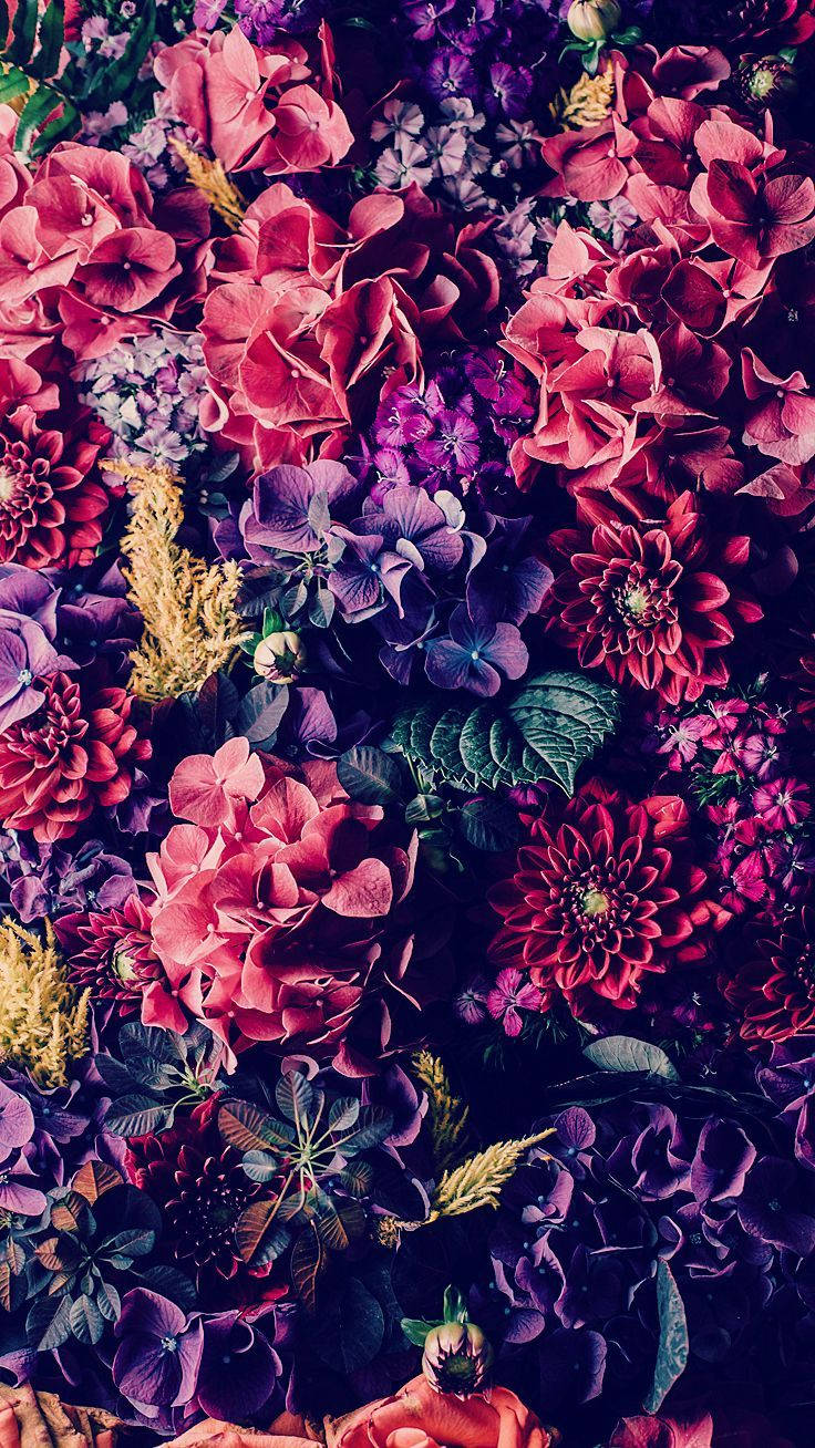 Colourful Dark Shaded Floral Iphone Background