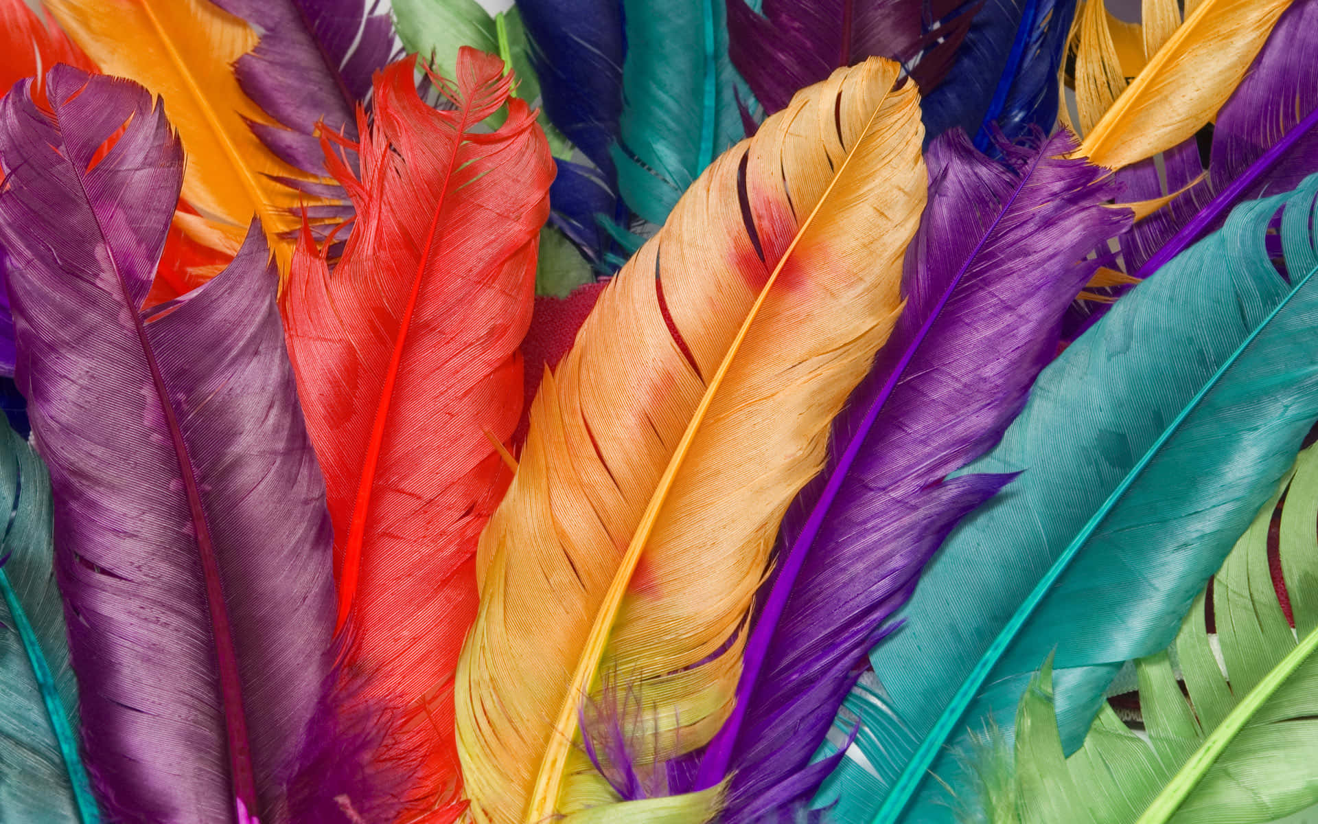 Colourful Feathers Background