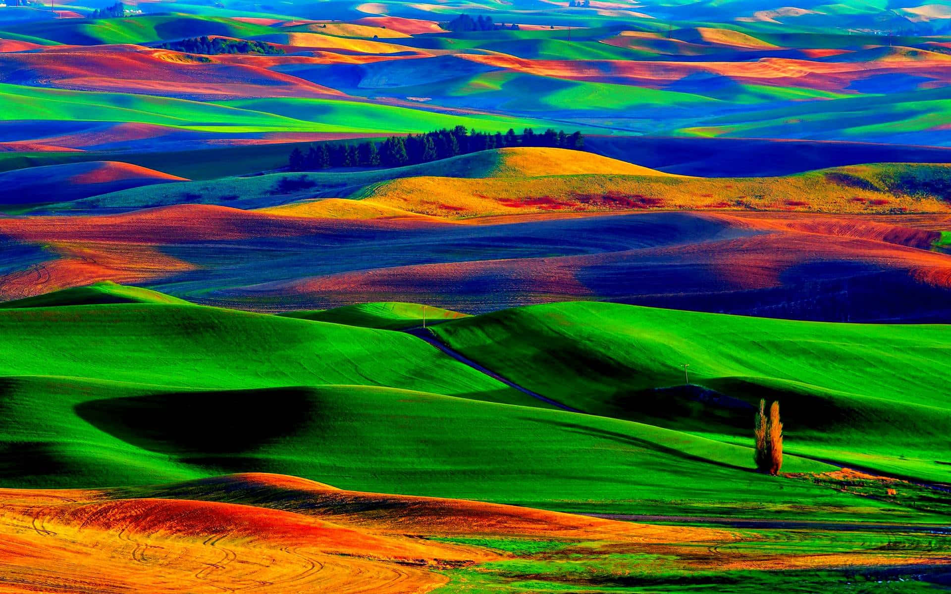 Colourful Landscape Background