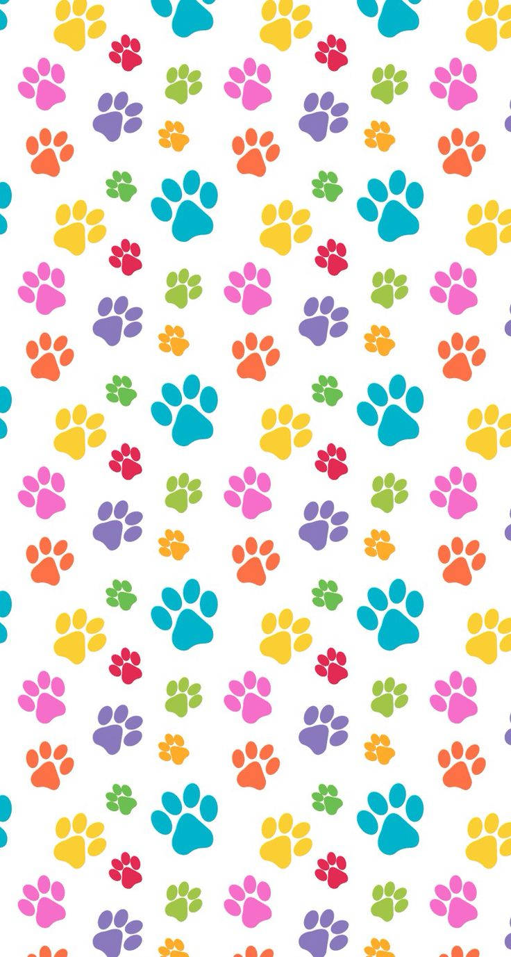 Colourful Paws Cute Iphone Lock Screen Background