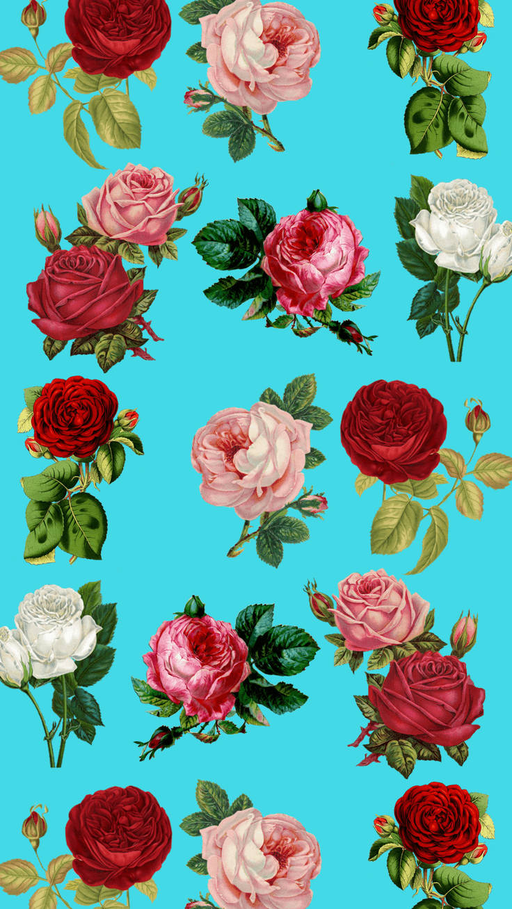 Colourful Roses Floral Iphone Background
