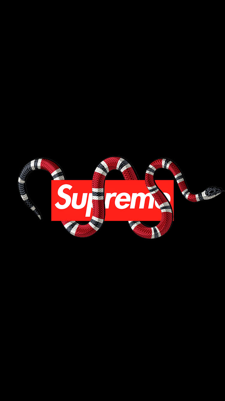 Combining Trends With A Sense Of Timelessness, Supreme And Gucci Collaborate For A Truly Iconic Look. Background
