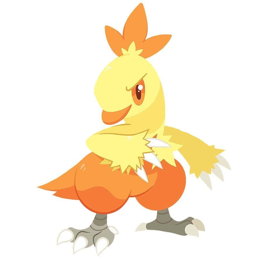Combusken Chibi Style Background