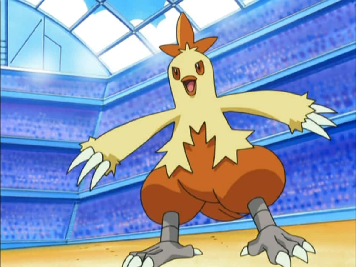 Combusken In Stadium Background