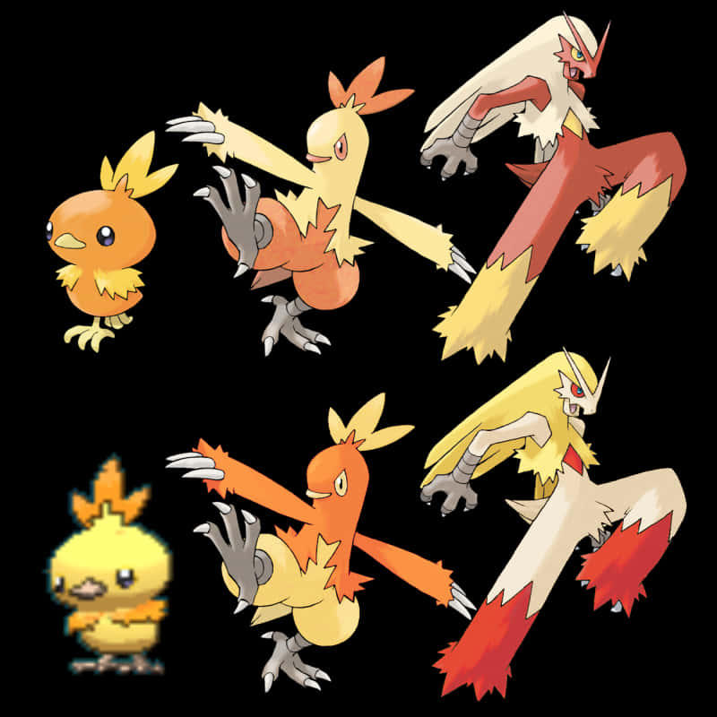 Combusken Line Recolored Background