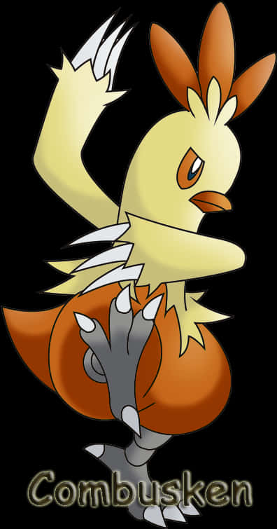 Combusken Pose With Name Background