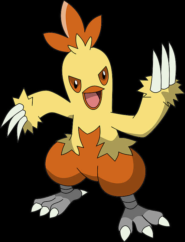 Combusken Prepares For Battle