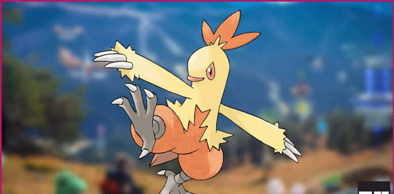 Combusken Video Game Background Background