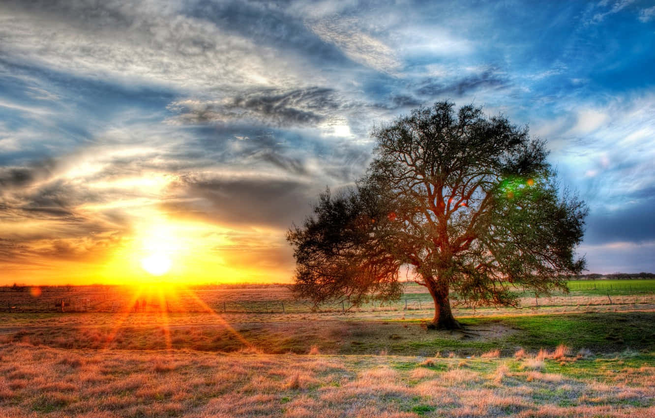 Come And Explore The Magic Of Ranch Background