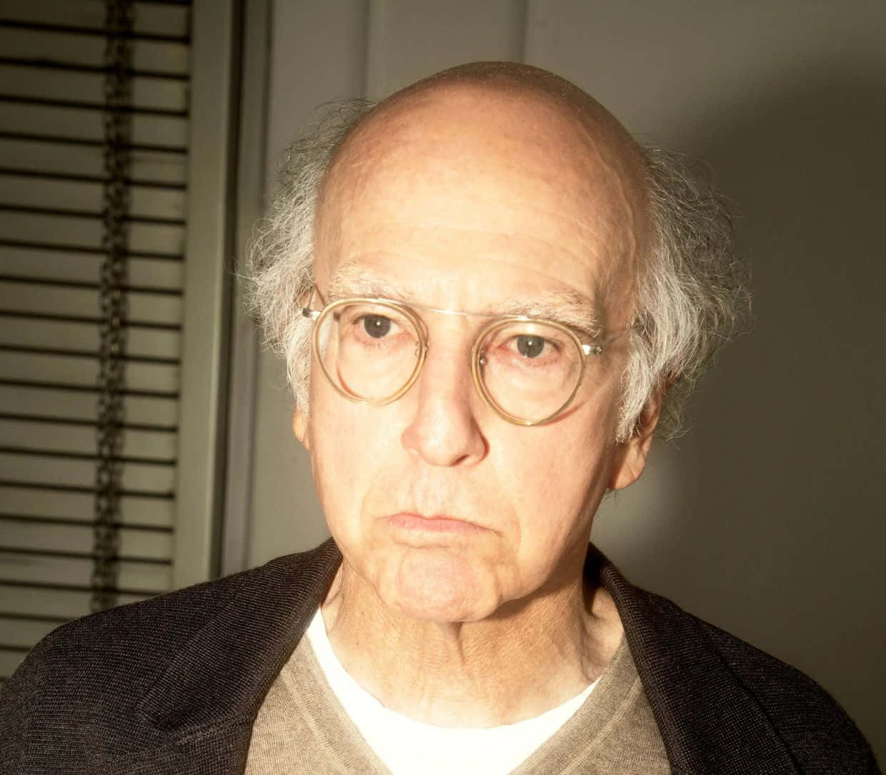 Comedian And Co-creator Of Seinfeld, Larry David Background
