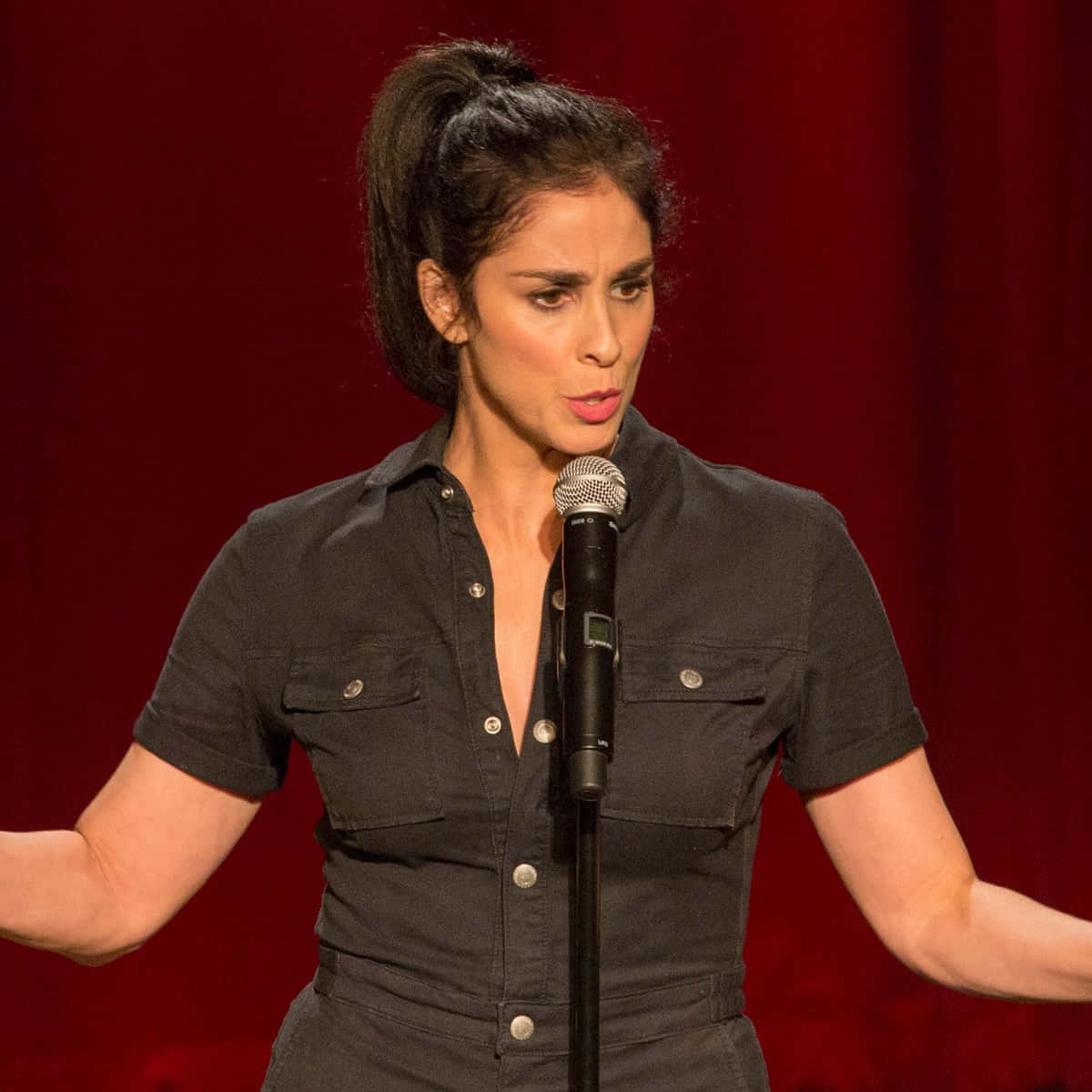 Comedian Sarah Silverman Posing For A Stunning Portrait Background