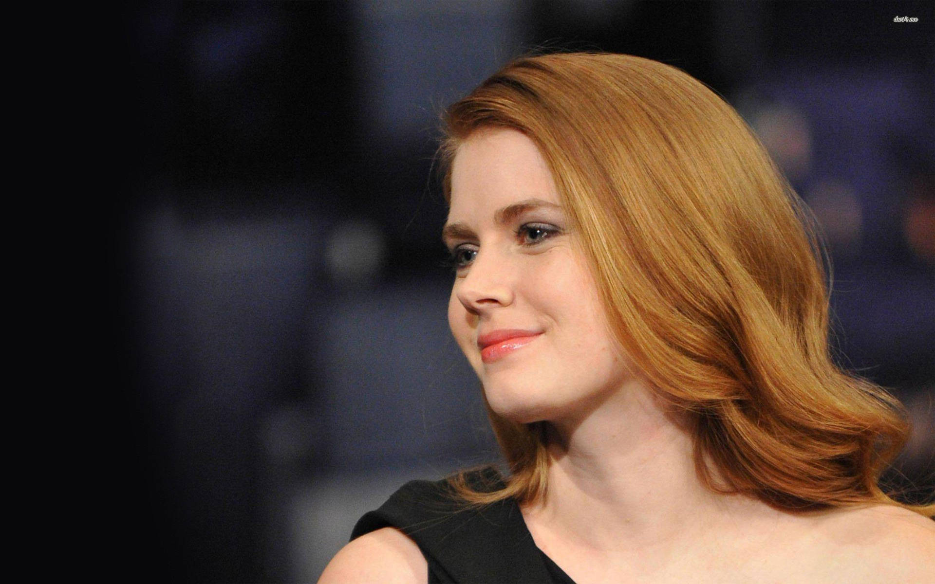 Comedic Actress Amy Adams