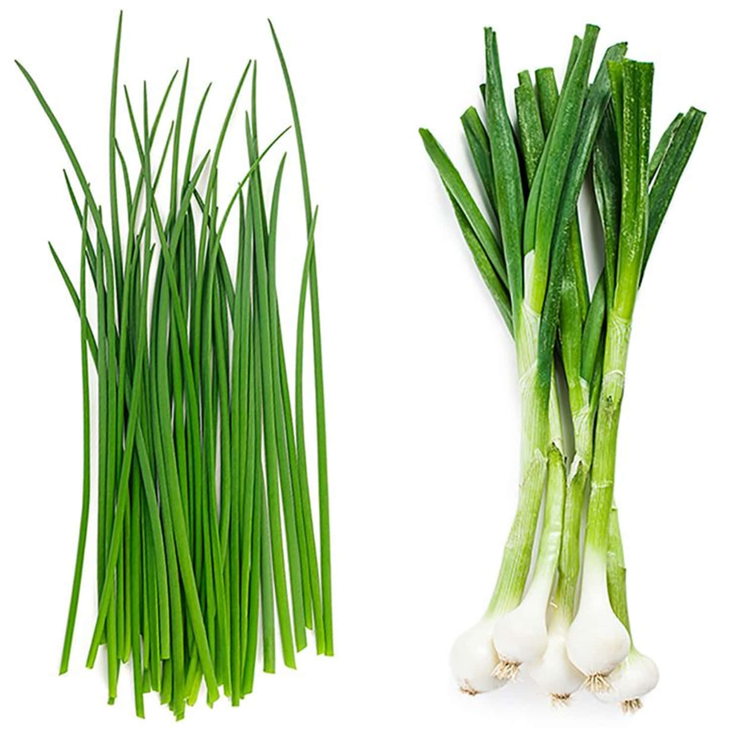 Common And Onion Chives Vegetable Background