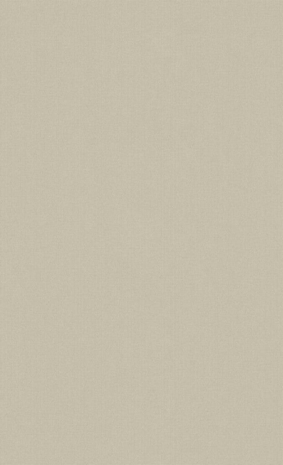 Commonly Used Neutral Color Palette Background