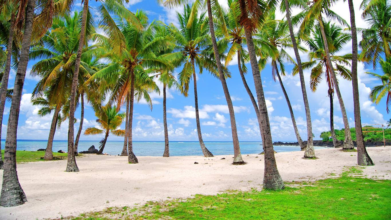 Comoros Beach Surrounded By Tall Trees