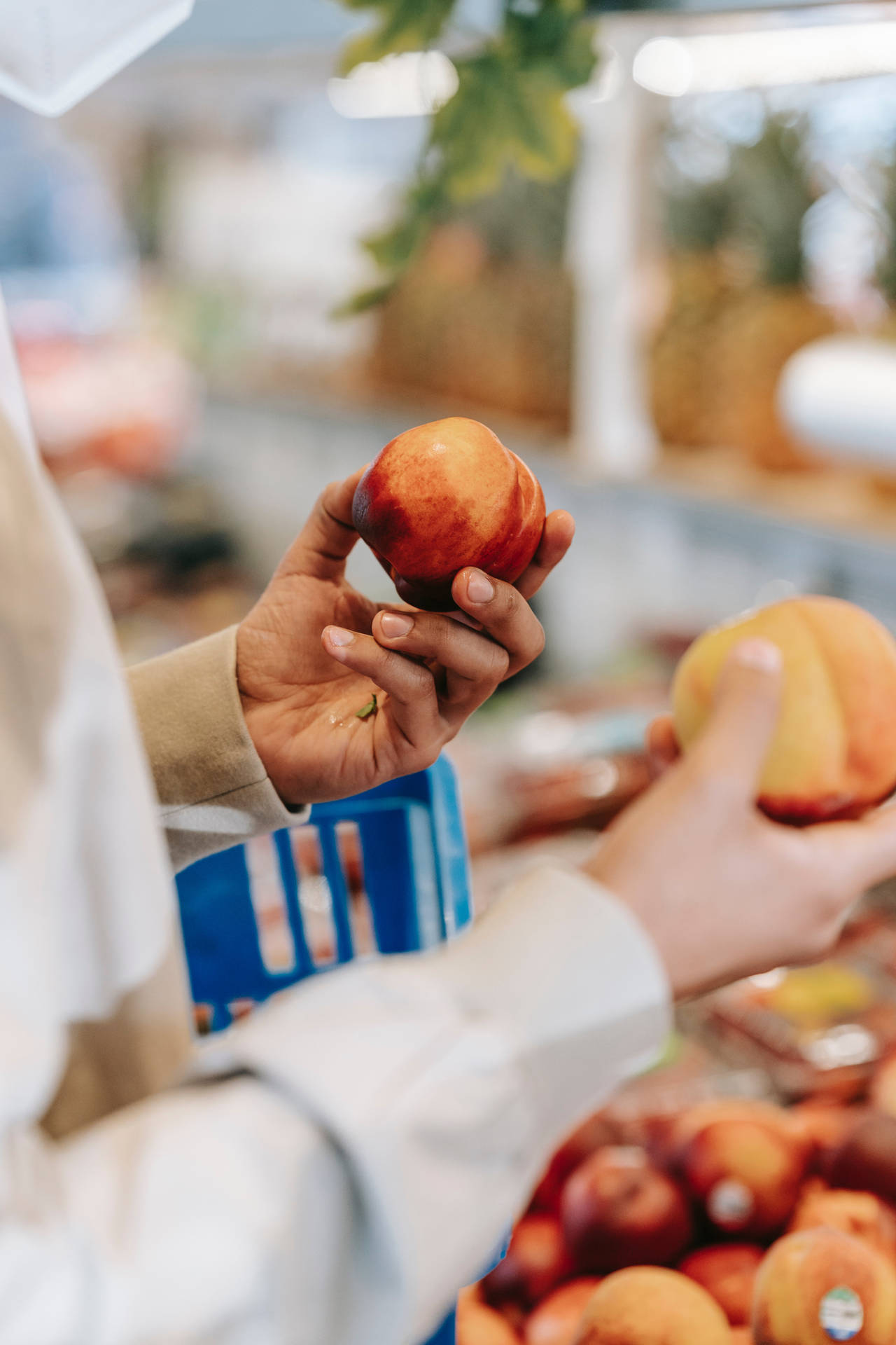 Comparing Nectarine Buying Grocery Background