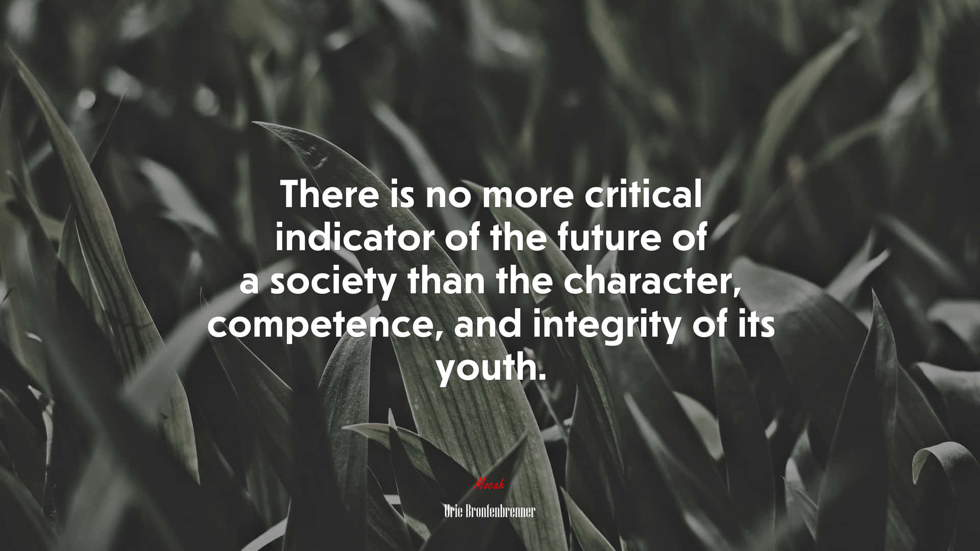 Competent Indicator Society Future Quote