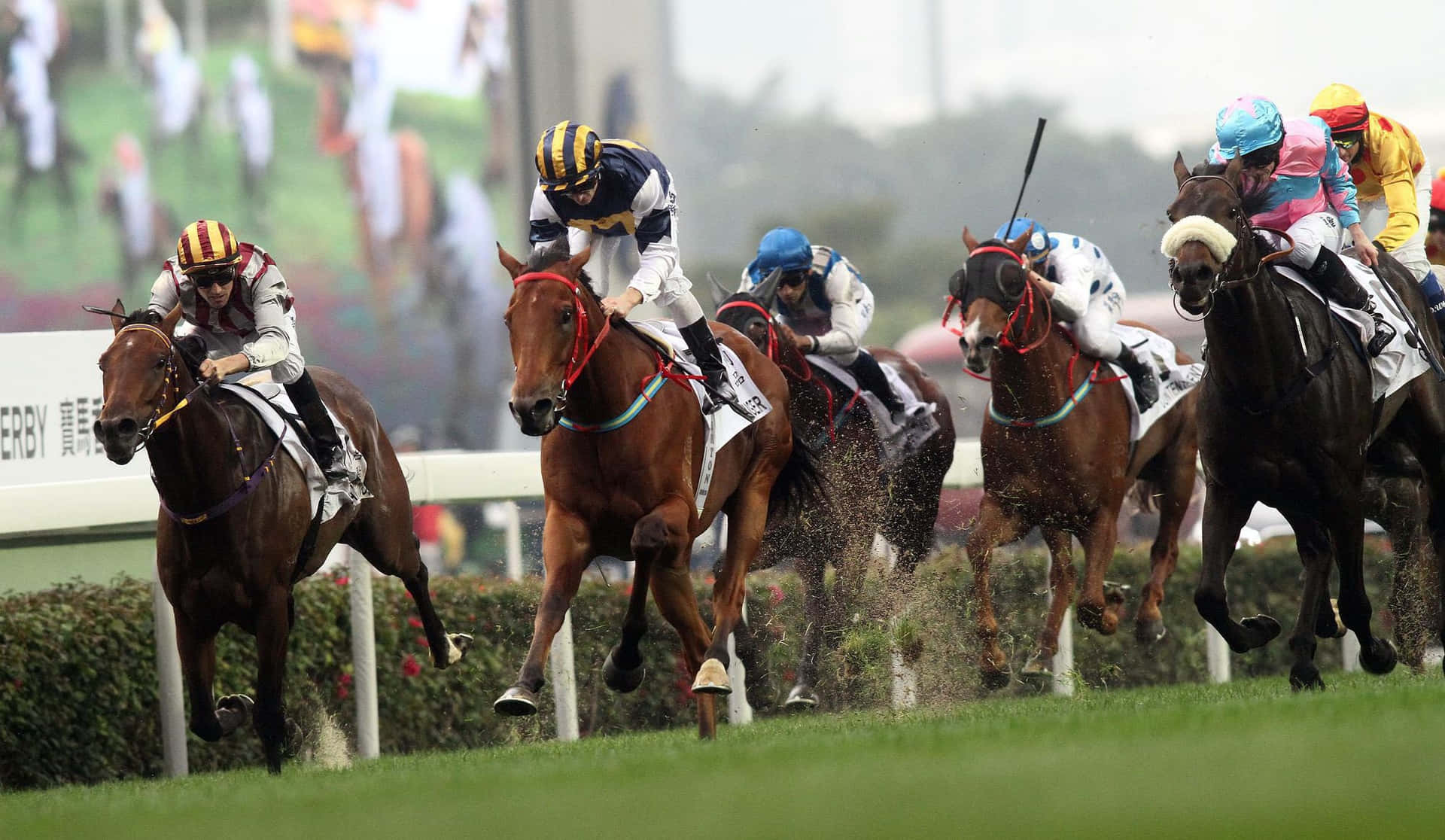 Competent Polo Riders Background