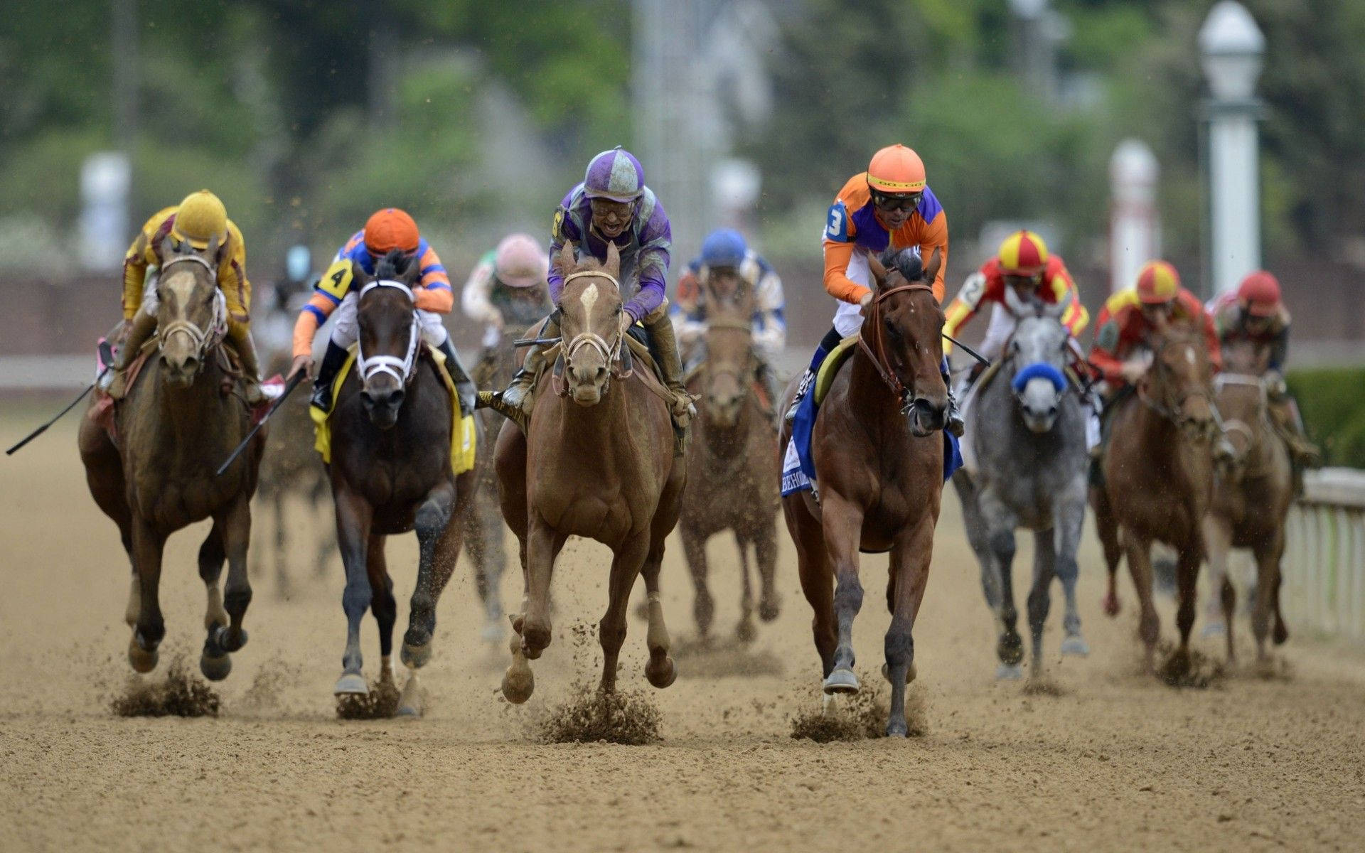 Competitive Horses Aligned For The Spectacular Race