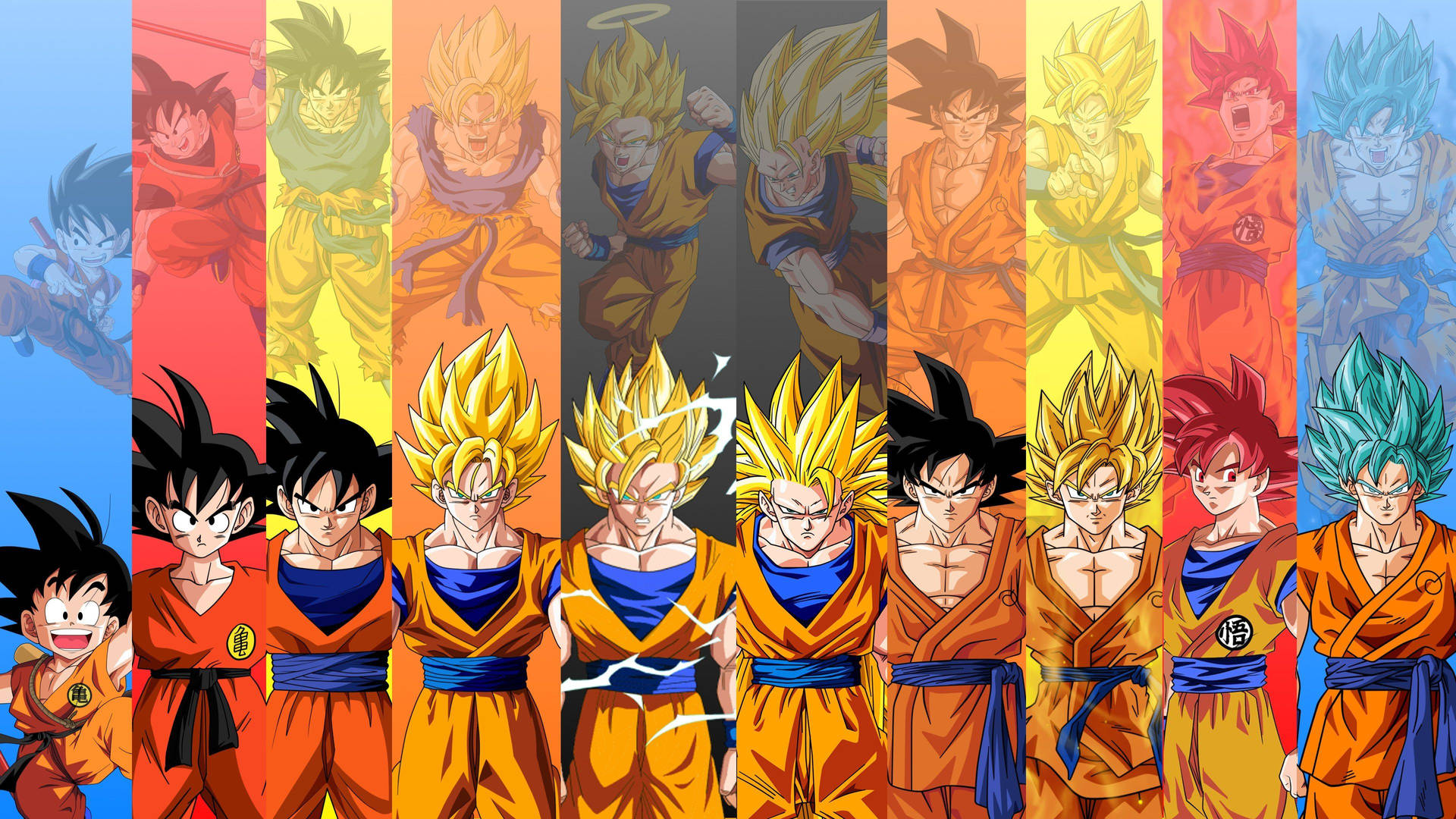 Complete Forms Of Goku Dbz 4k Background