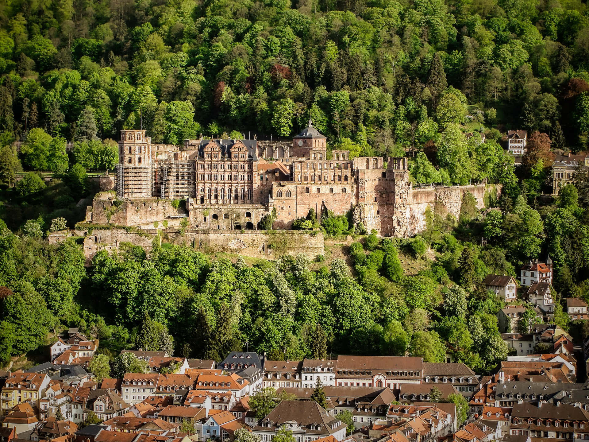 Complete View Of Heidelberg Castle