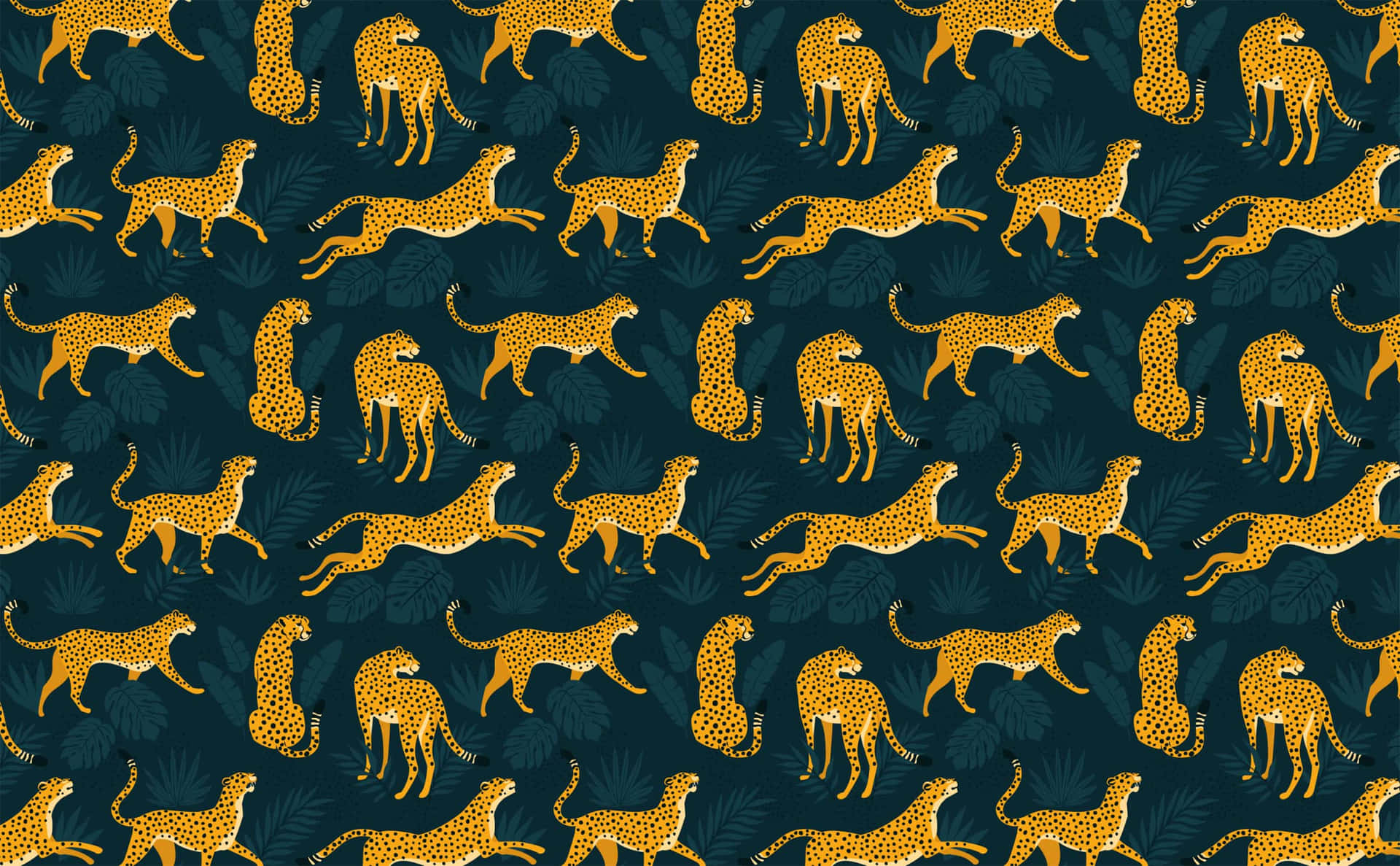 Complicated Wild Cats Background
