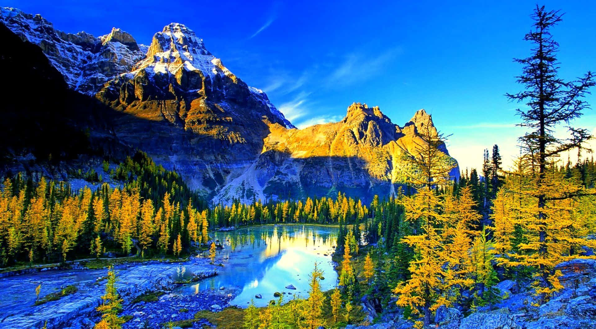 Complimentary Lakeside