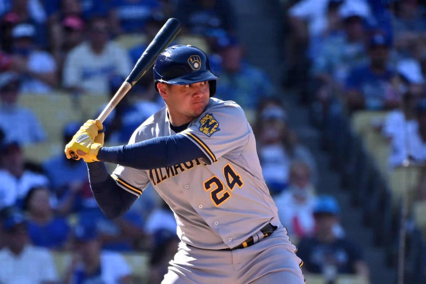 Concentrated Avisail Garcia