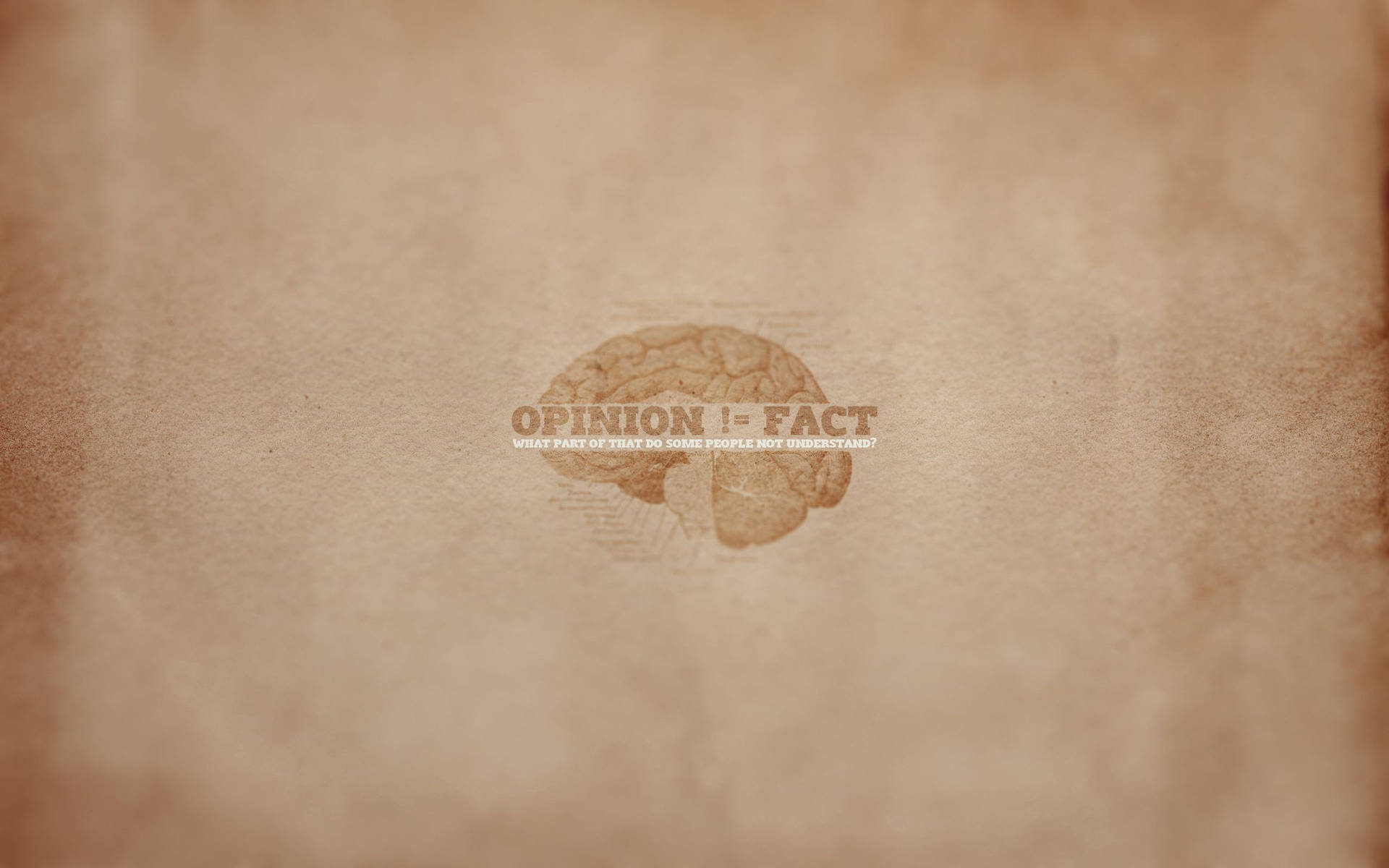 Conceptual Representation Of Opinion Vs Fact In The Cerebral World