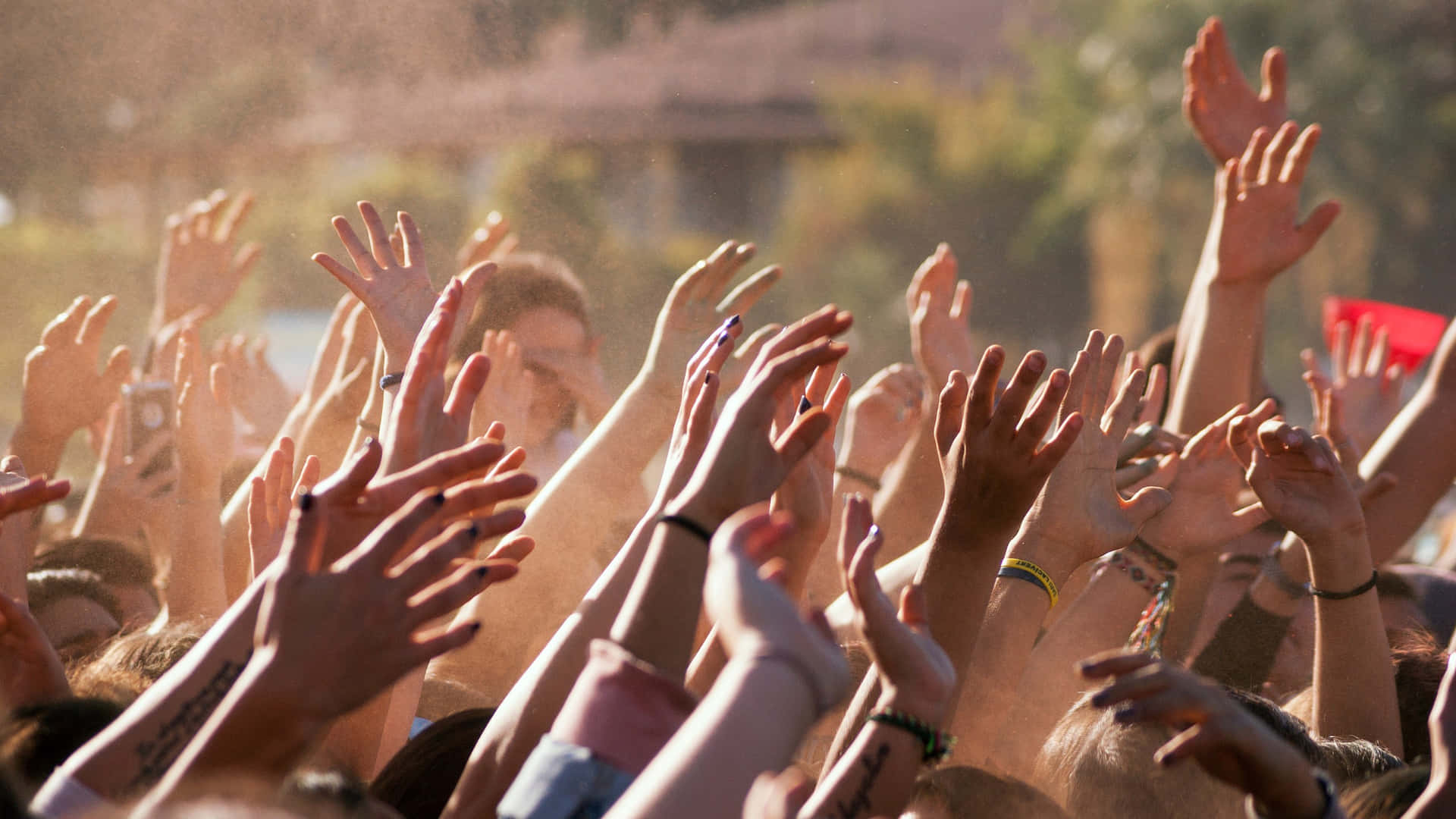 Concert Crowd Celebration.jpg Background