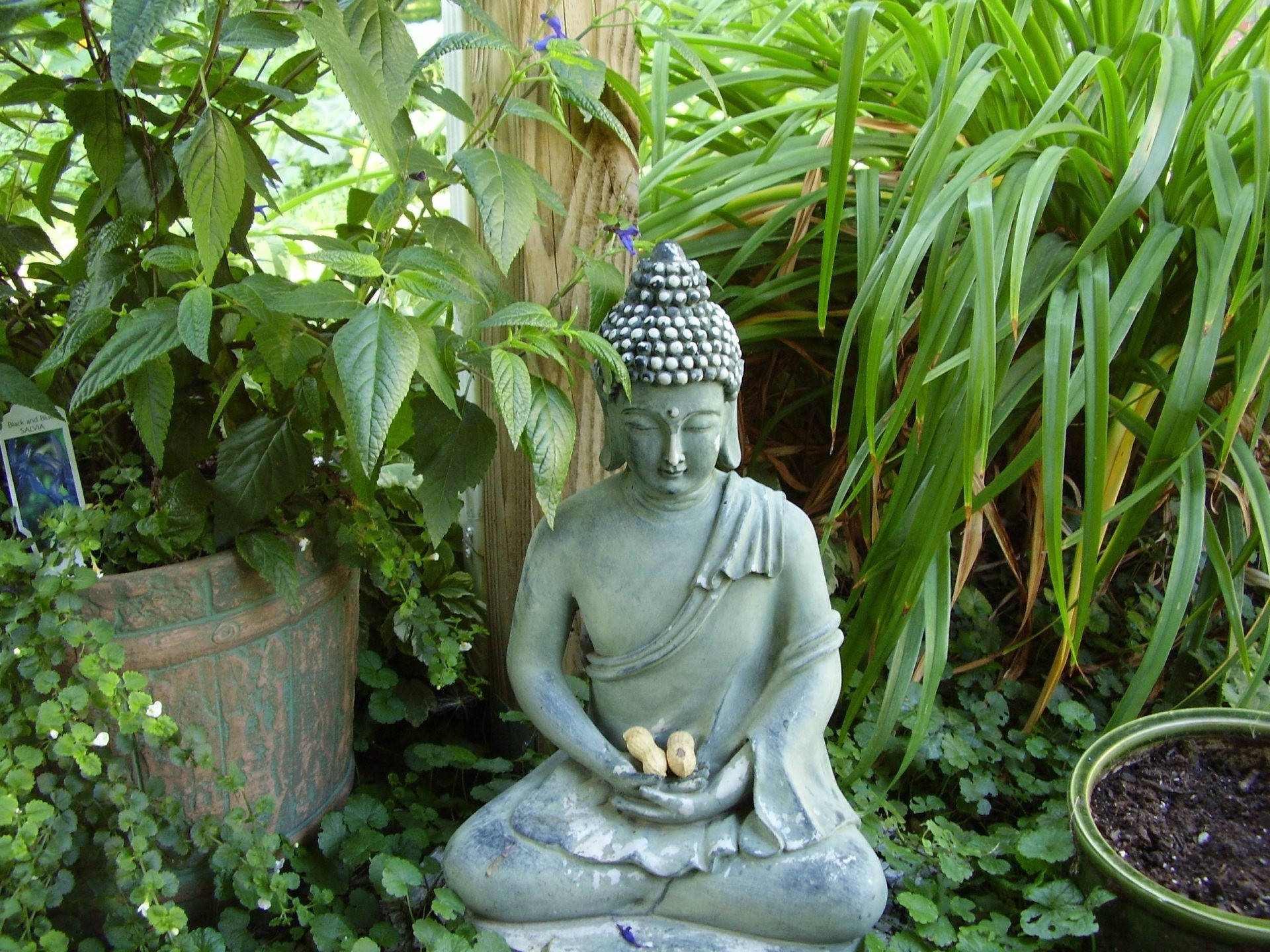 Concrete Statue Of Buddha Hd Background