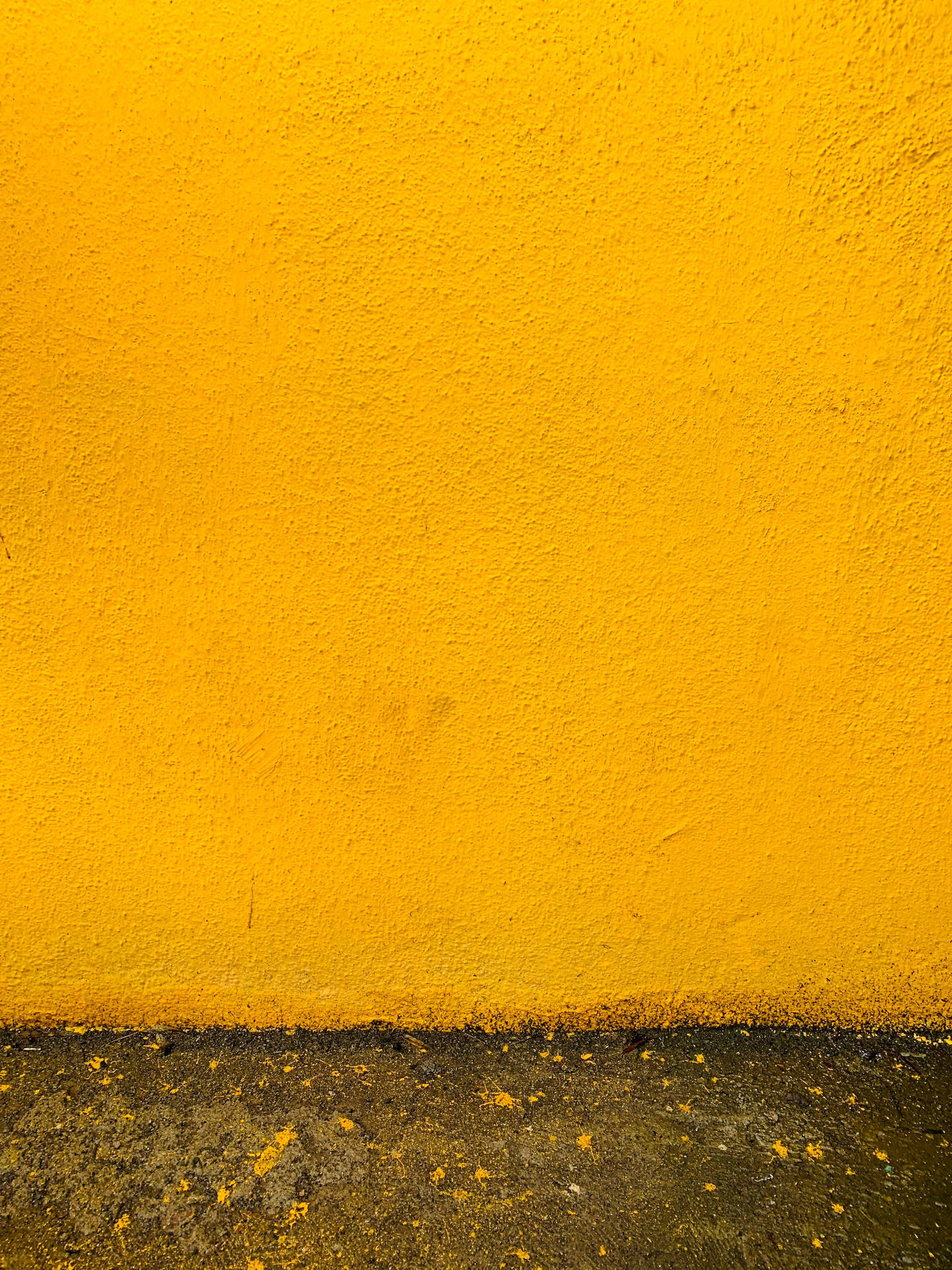 Concrete Texture Mustard Yellow Wall Background