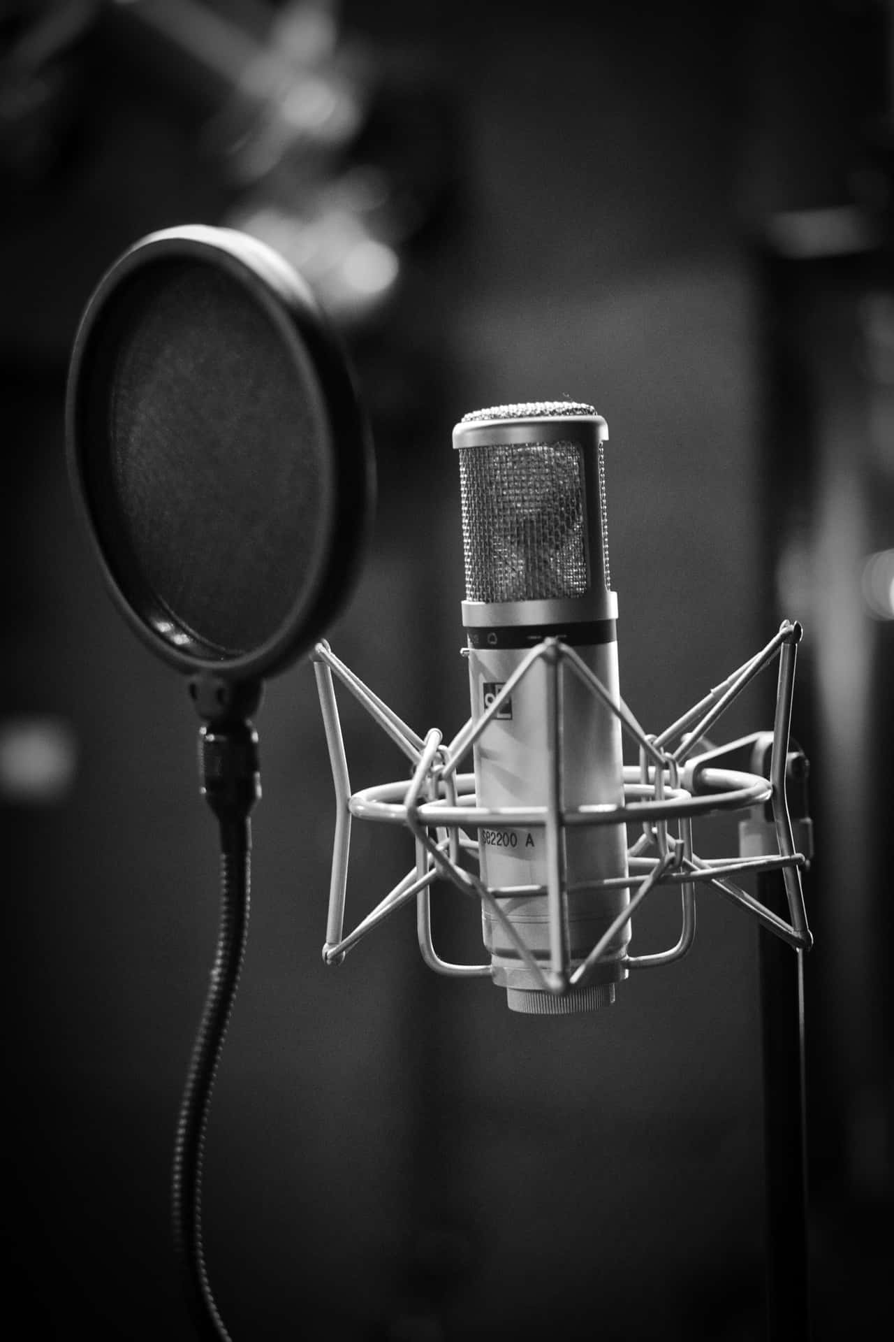 Condenser Microphone In Black And White Background