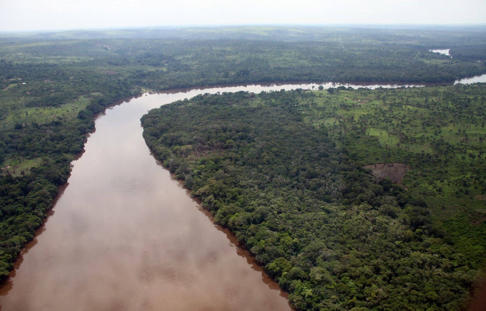 Congo Forest And Long River Background