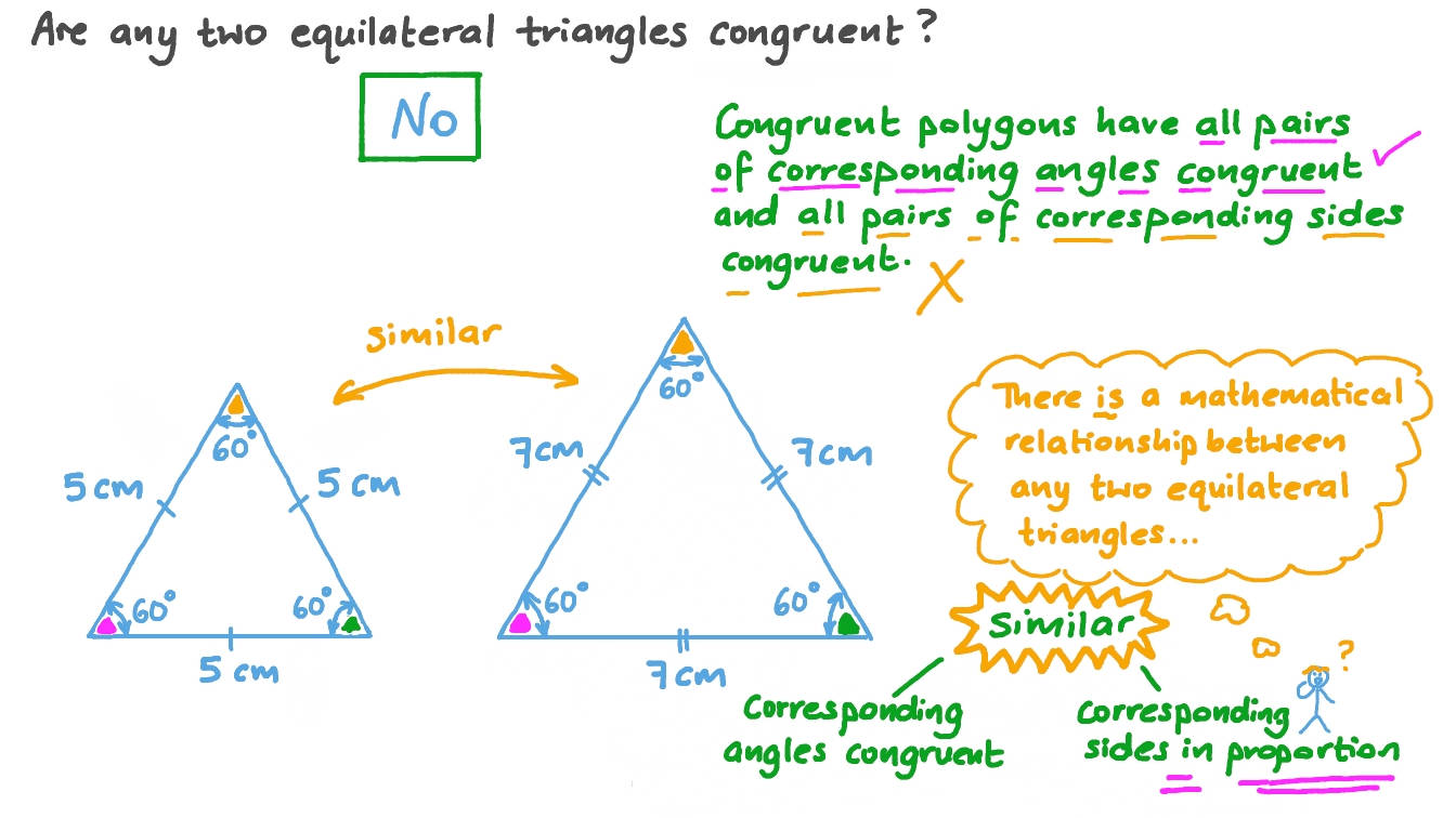 Congruent Polygons With Drawing Background