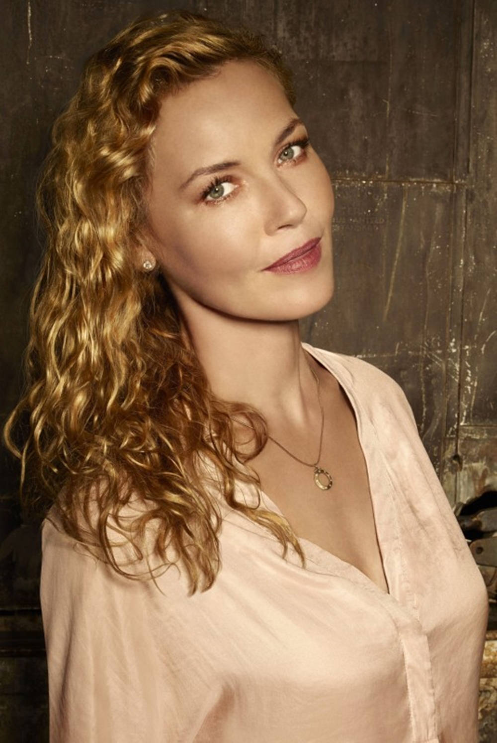 Connie Nielsen The Following