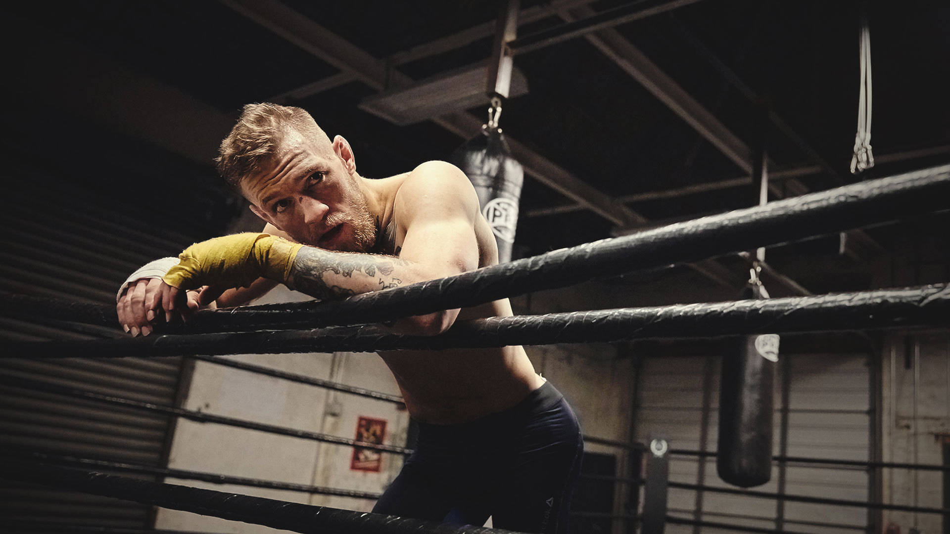 Conor Mcgregor In Boxing Ring