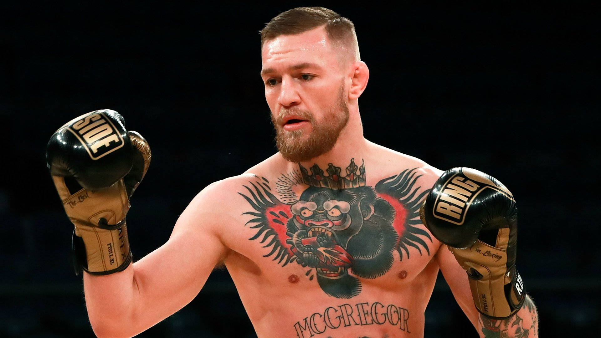 Conor Mcgregor Wearing Boxing Gloves Background