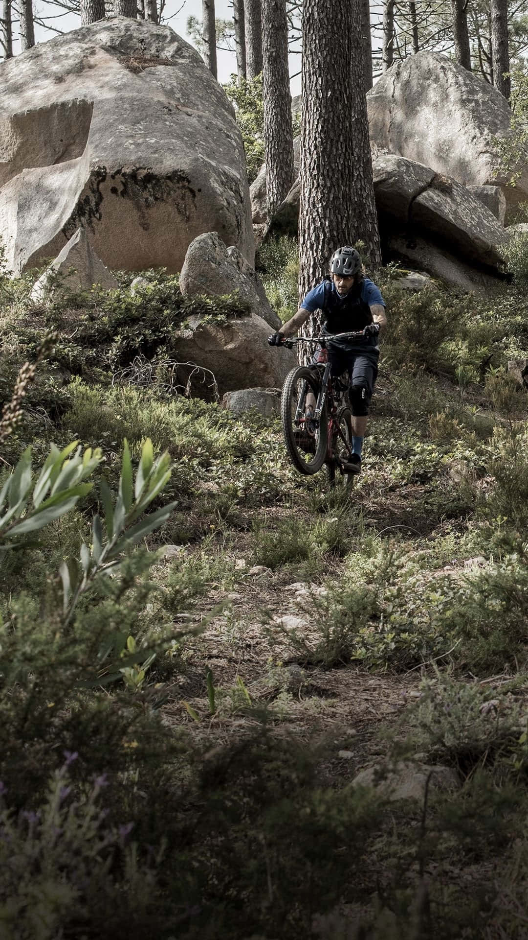 Conquer Any Terrain With A Mountain Bike And An Iphone