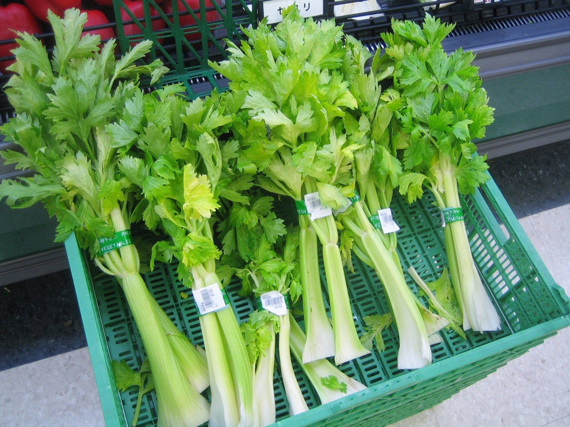 Consumer Celery Shopping Cart Background