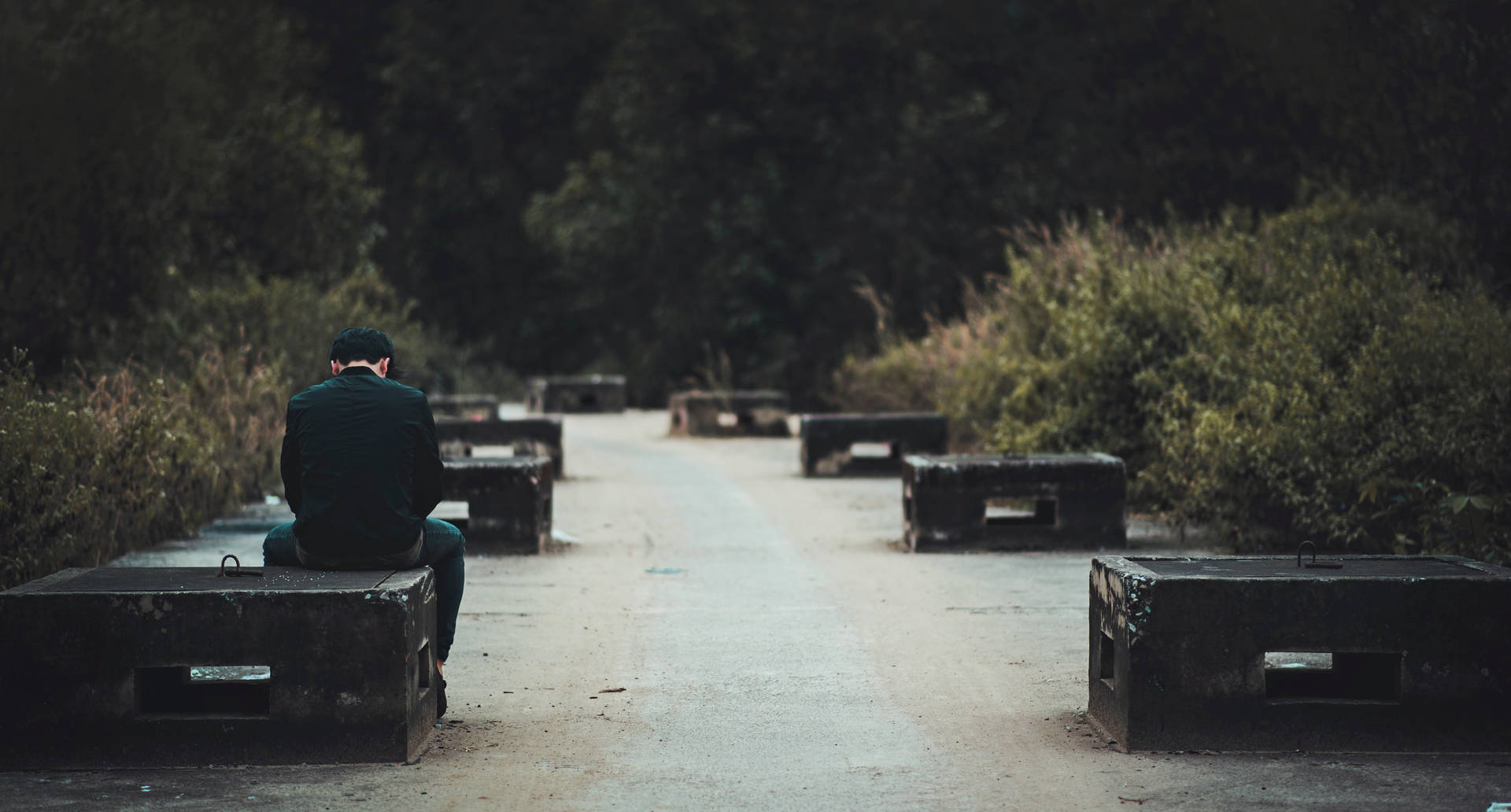 Contemplation In Solitude Background