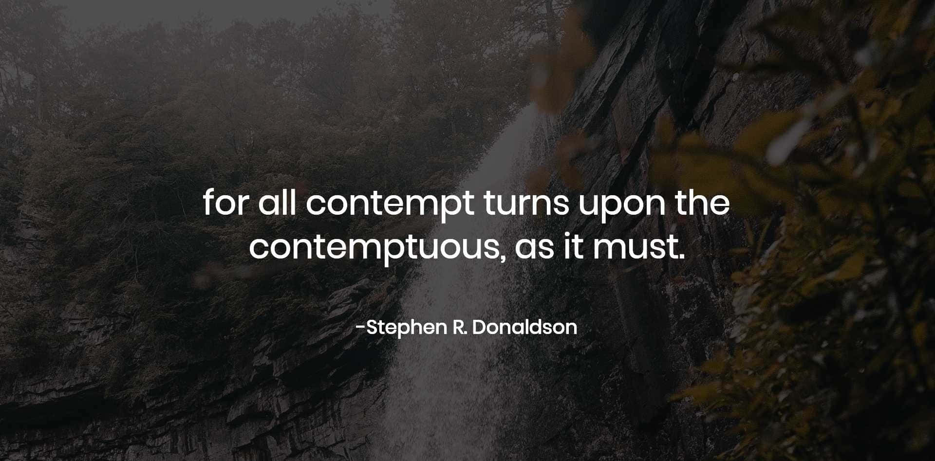 Contemptuous Quote By Donaldson Background