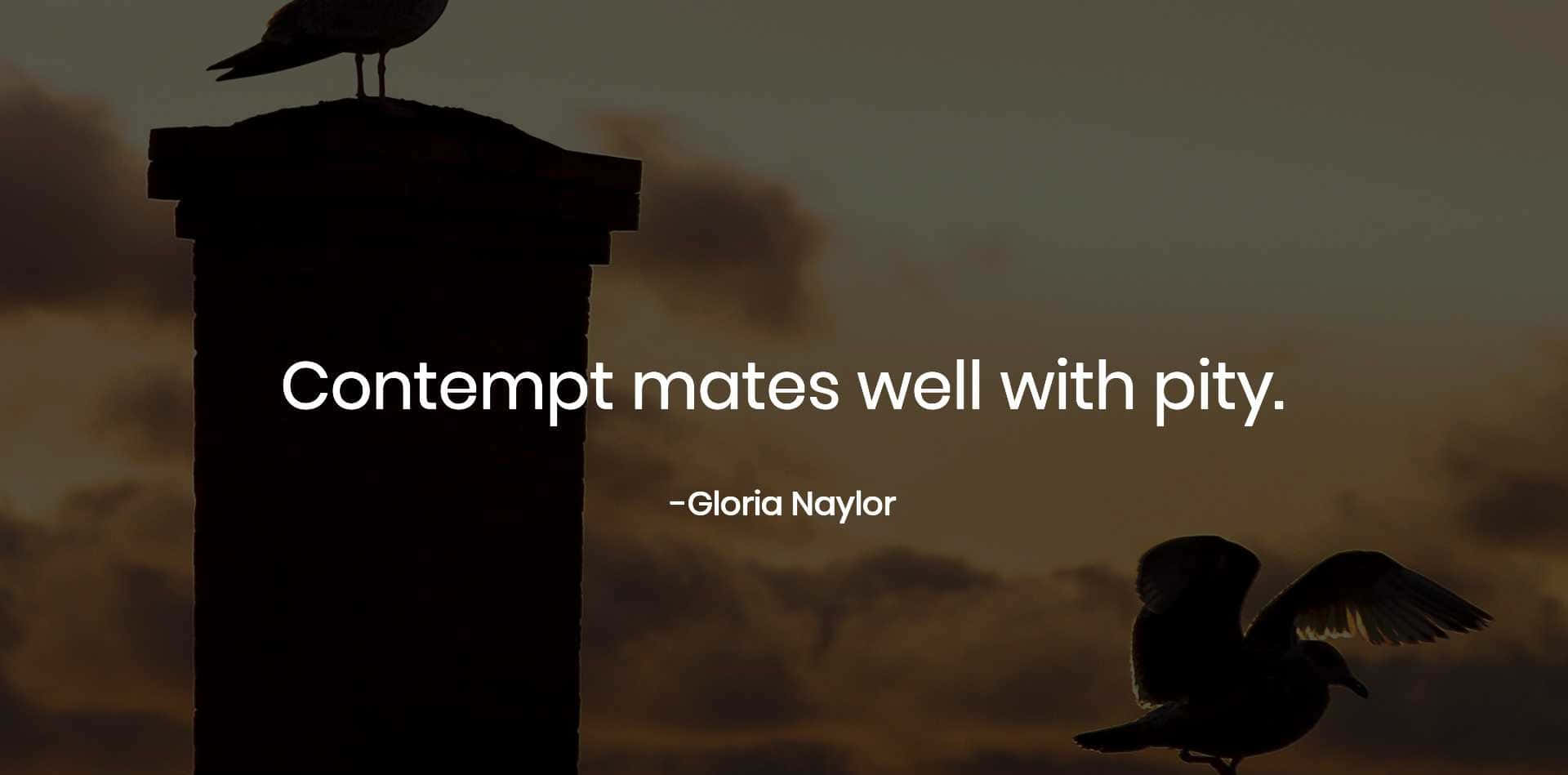 Contemptuous Quote By Gloria Naylor Background