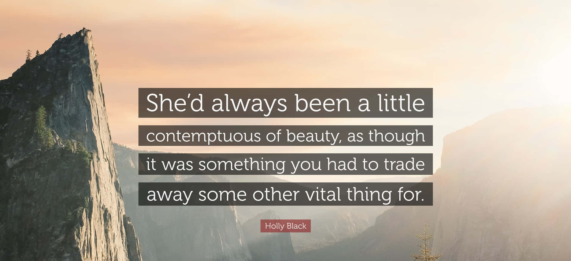 Contemptuous Quote By Holly Black