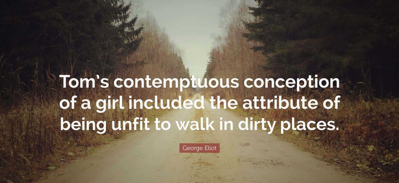 Contemptuous Quote Hd Desktop Background