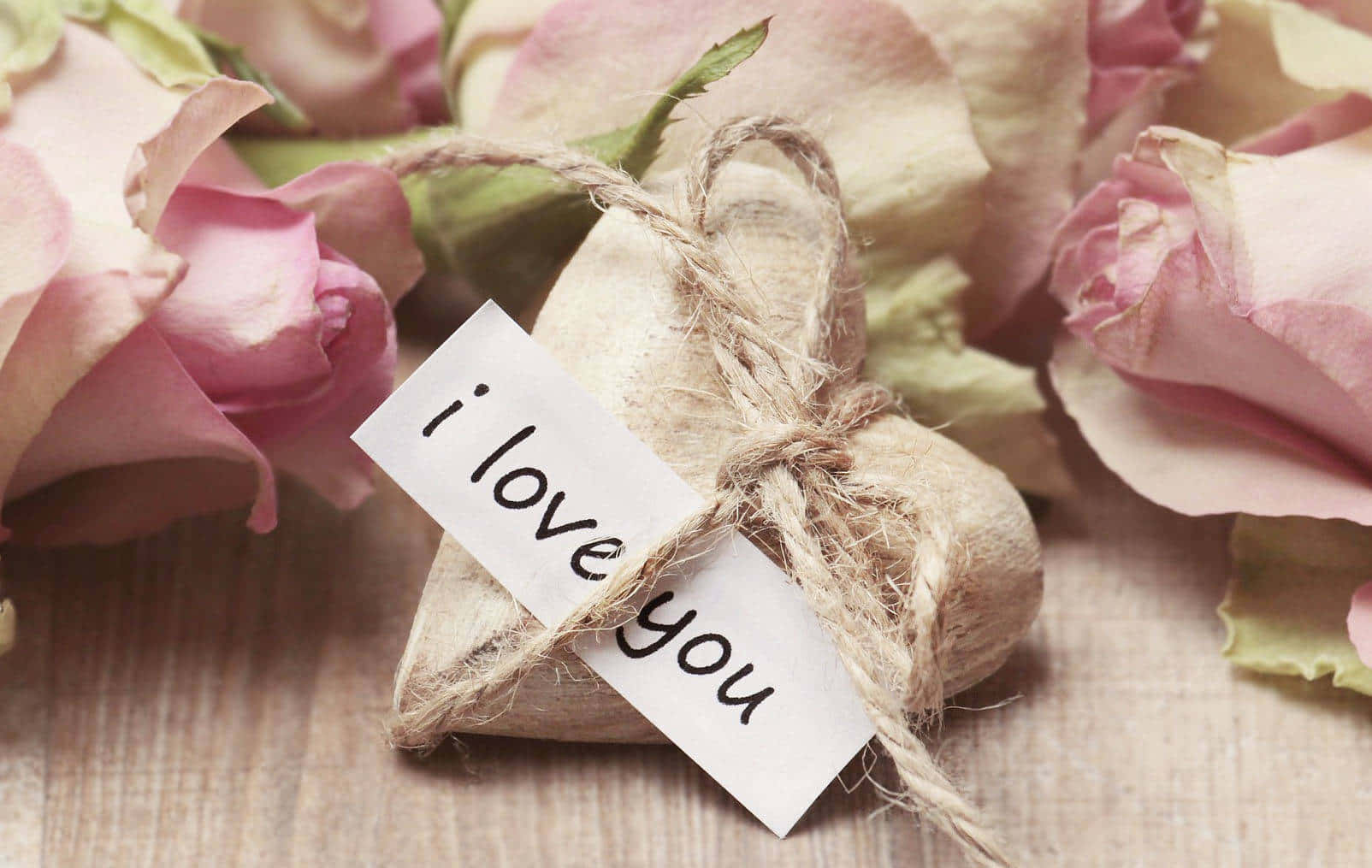 Contemptuous Souvenir Hd Background