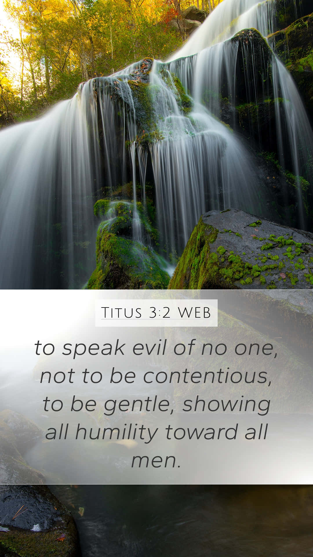 Contentious Bible Saying Phone Theme Background