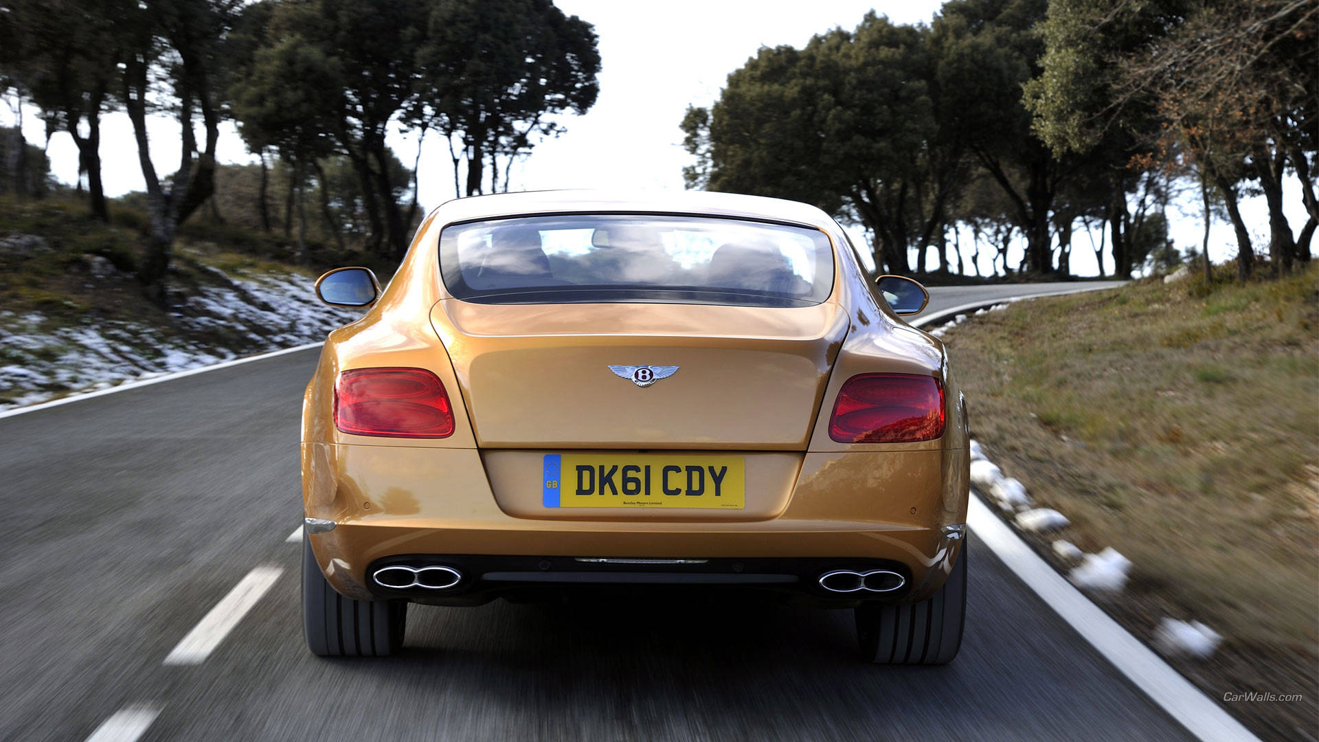 Continental Gt Bentley Hd Tail Background